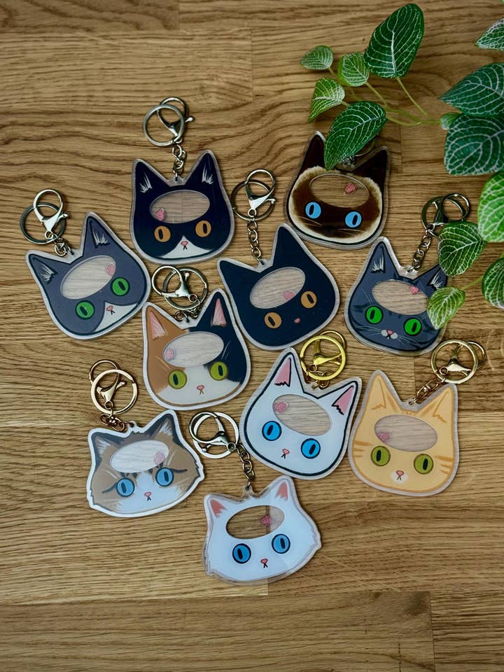 Pea-Brained Kitty Shaker Keychain for wholesale by Housecat Creative