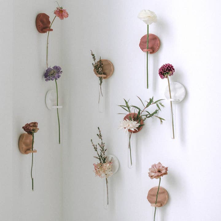 Sonnihaus - Vendita all'ingrosso Fioriere sospese - Stazione di Propagazione BADA (바다)9