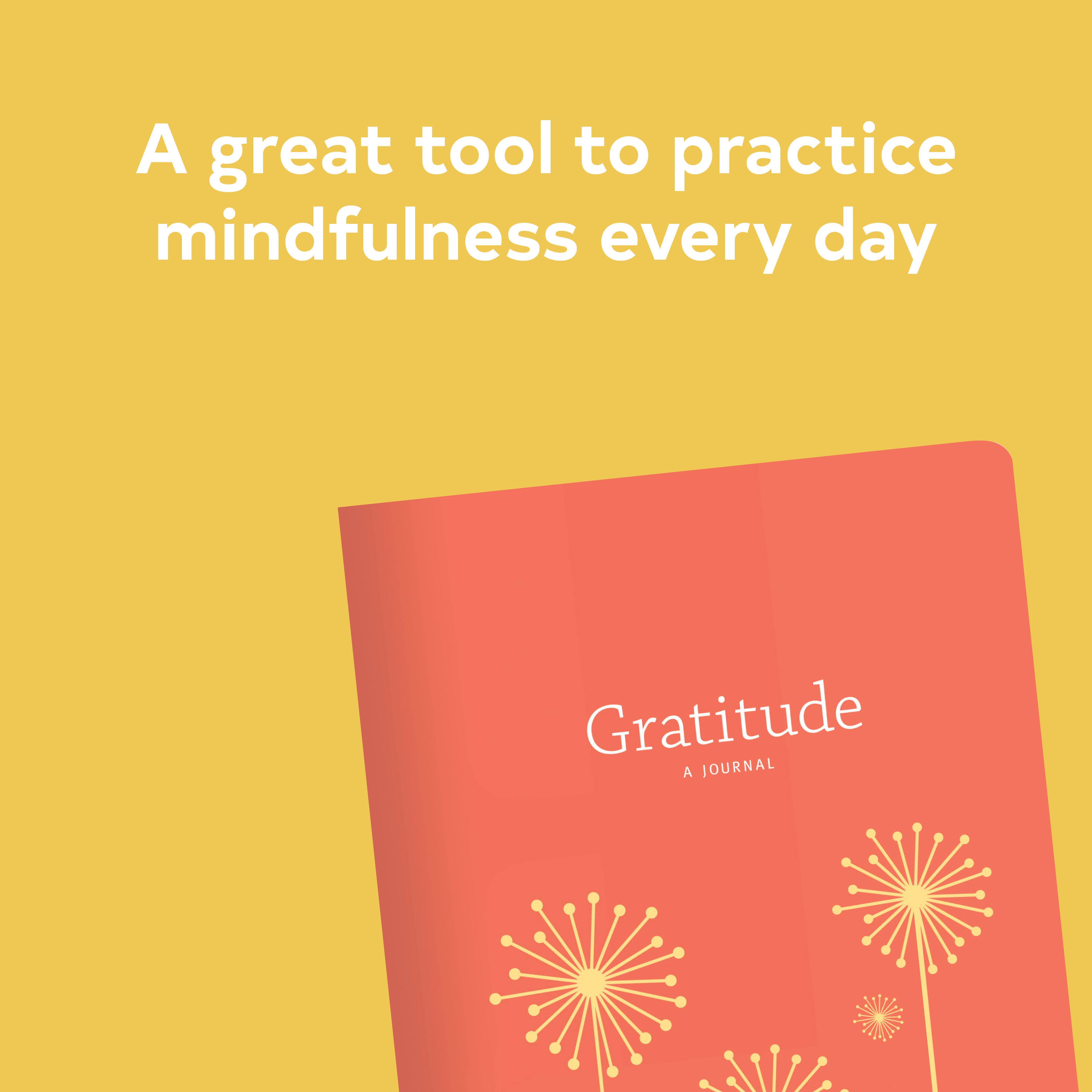 Chronicle Books - Wholesale Journal/Diary - Gratitude1