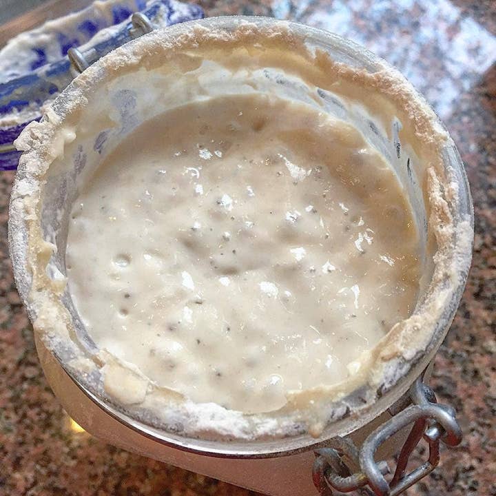 Breadtopia - Wholesale Bread Mix - Sourdough Starter