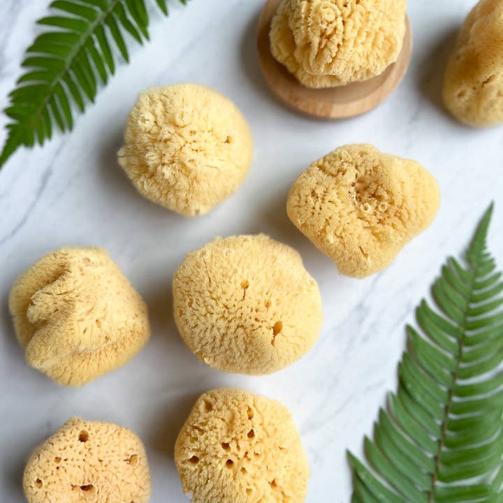 Fawn Lily Botanica – wholesale Bath pouf/sponge – SILK FACIAL SEA SPONGE - CARIBBEAN0