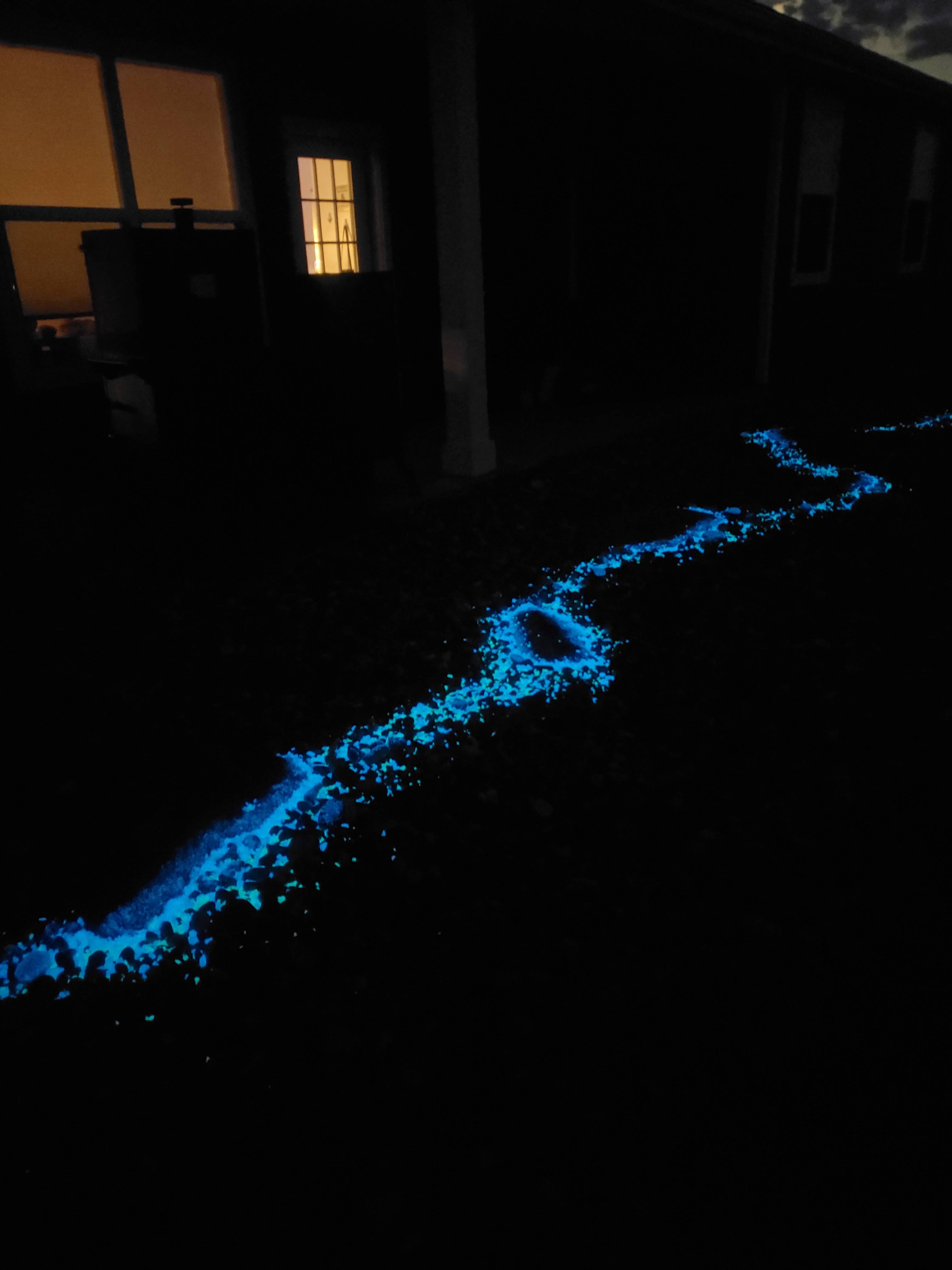 IT GLOWS - Wholesale Stepping Stone - Glow In the Dark Stones - Blue/Glow rocks/Garden Rocks 3-8mm6