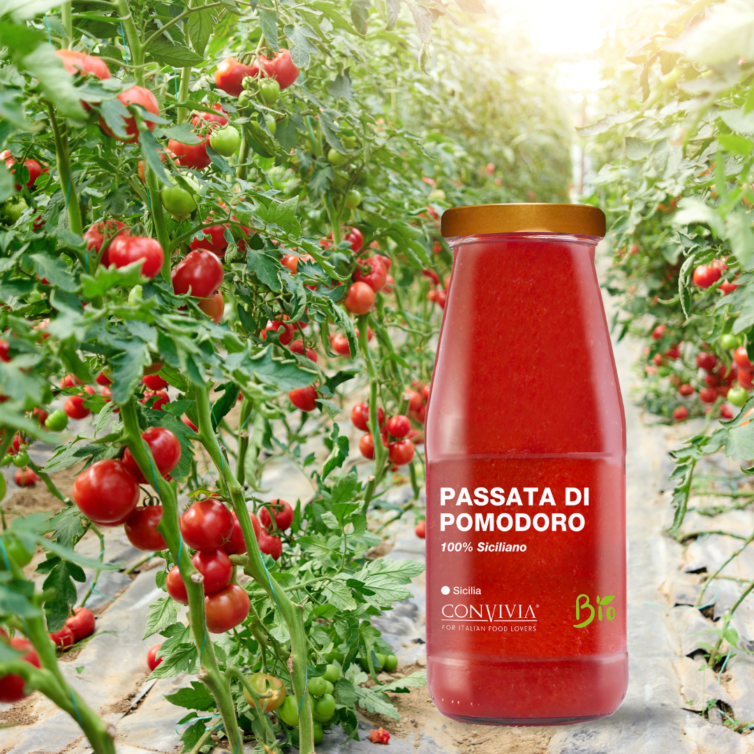 CONVIVIA for italian food lovers - Wholesale Pasta Sauce - Organic tomato puree 420g6