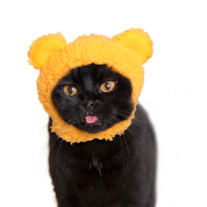 Clever Idiots Inc. - Vendita all'ingrosso Costume da carnevale - Gatti - Kitan Club - Cuffia per gatti, motivo: orso