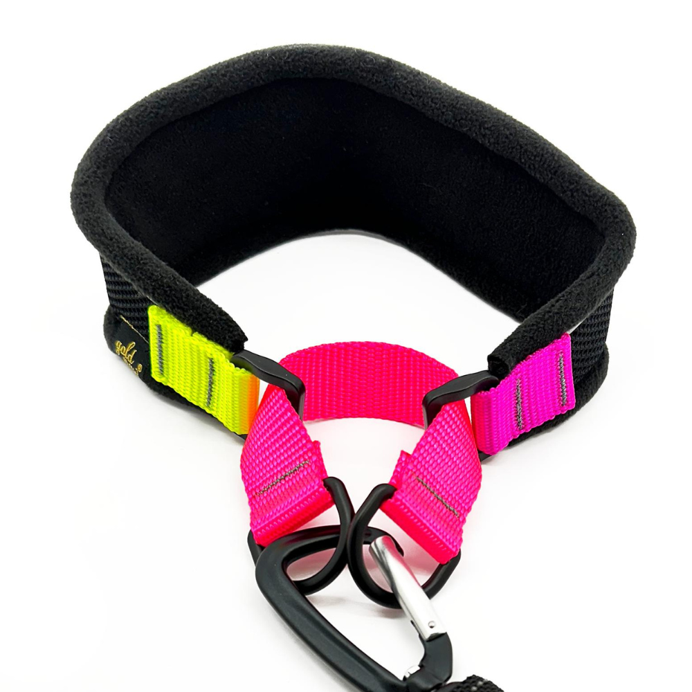 Gold Paw Series – Engroshandel Halsbånd - Hund – Letvægts halsbånd i martingale-stil til sarte hunde4