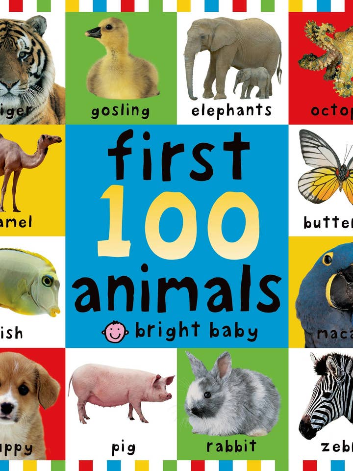 Big Board First 100 Animals for wholesale by Macmillan Publishers
