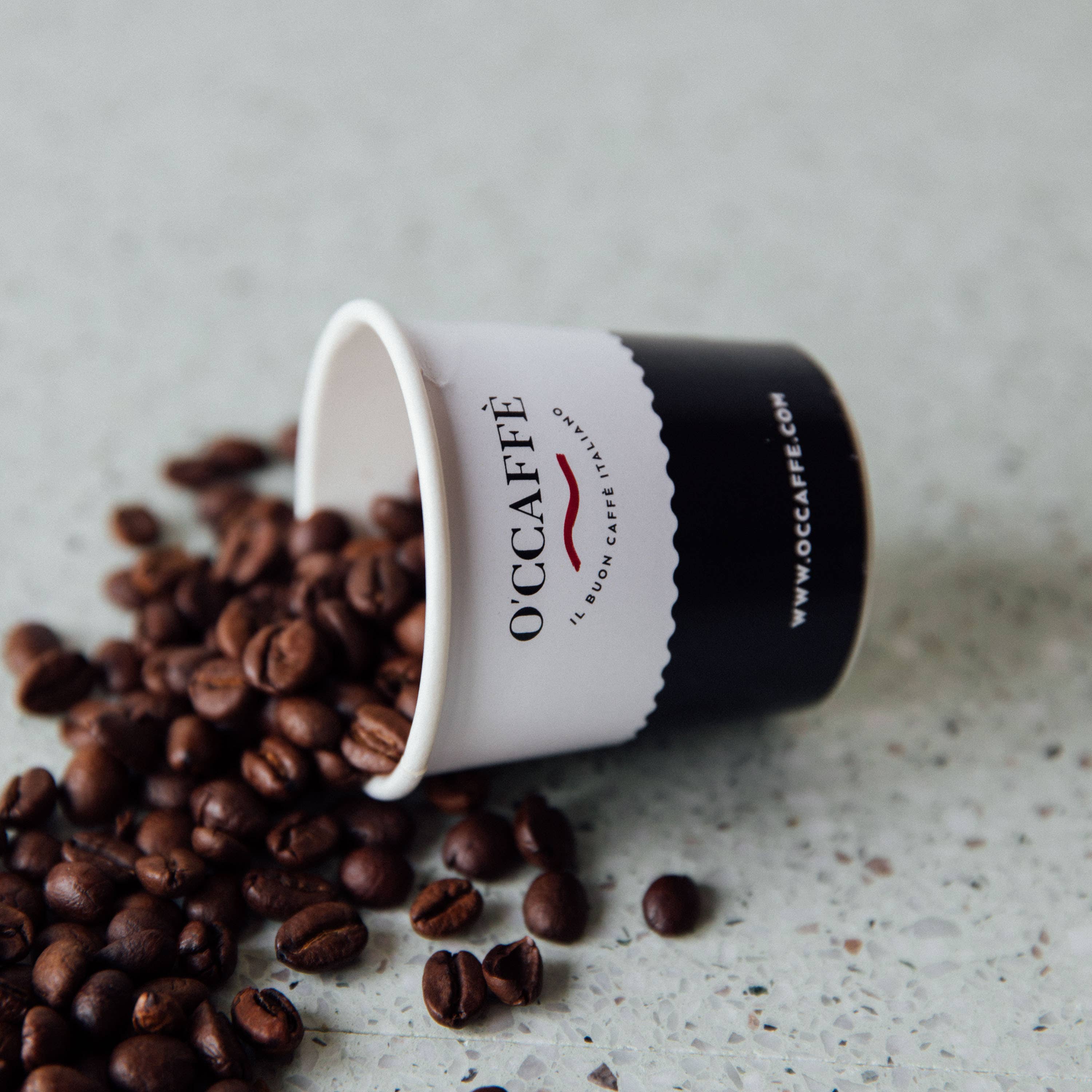 Italvi srl - Wholesale Coffee Beans - Espresso classico professional - 1 kg1