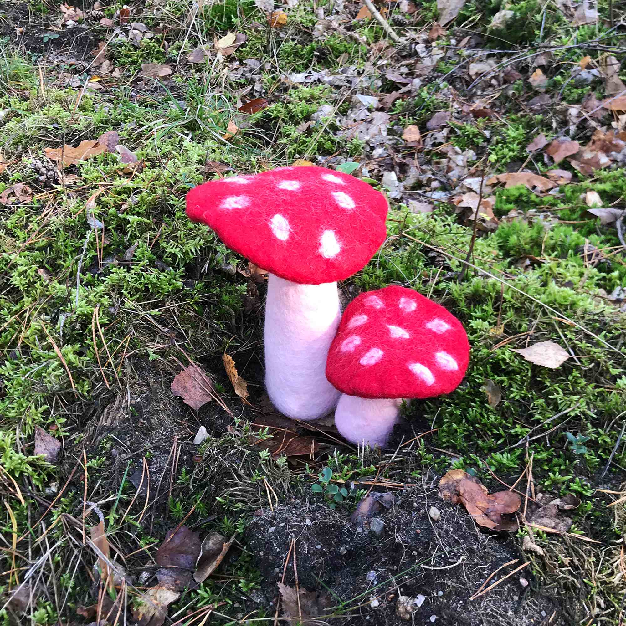 Tribal Trade GmbH - Vendita all'ingrosso Statuette decorative - Fungo amanita muscaria in feltro rosso, disponibile in 3 dimensioni18