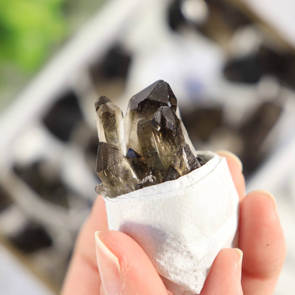 Natures Artifacts Inc - Vendita all'ingrosso Vetrina per rivenditori - Bellezza e benessere - Cluster di Quarzo Fumé in Vassoio (Piccolo)8