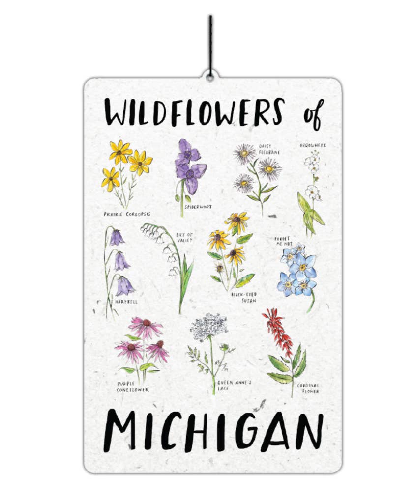 City Bird - Vente Désodorisant pour voiture – unisexe - Désodorisant Wildflowers of Michigan