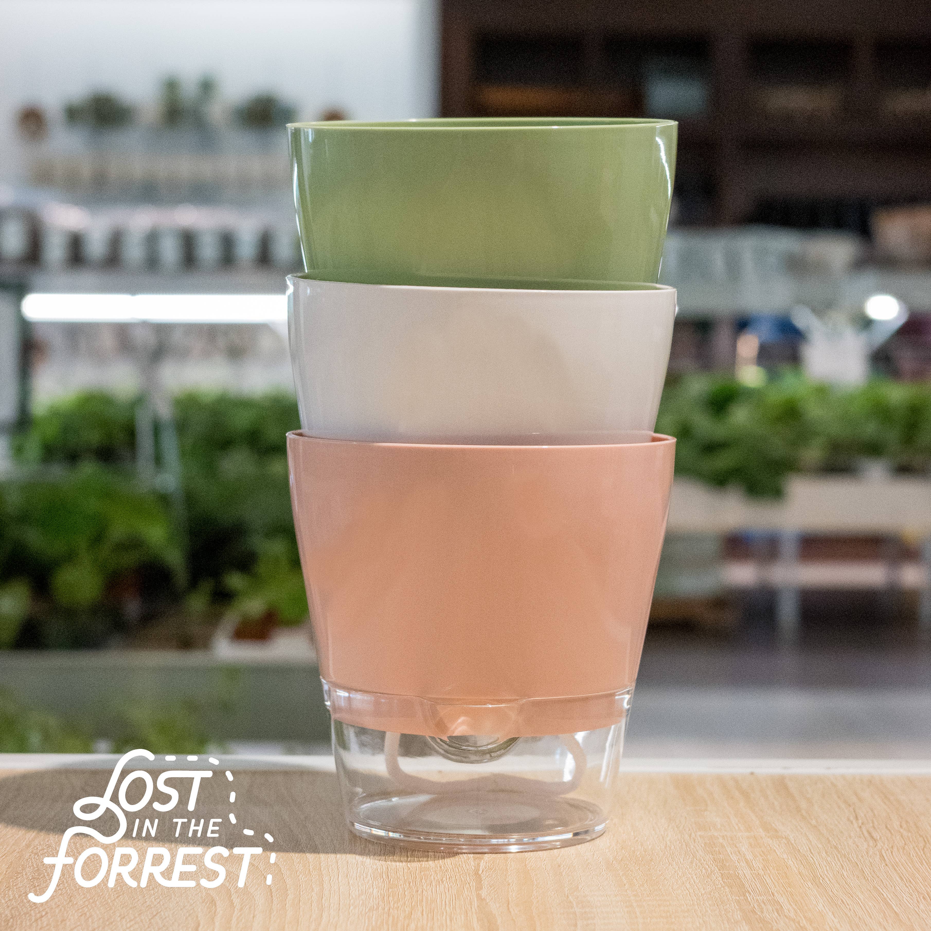 Lost in the Forrest - Vendita all'ingrosso Vasi per piante - Fioriera autoirrigante Padua 6"5