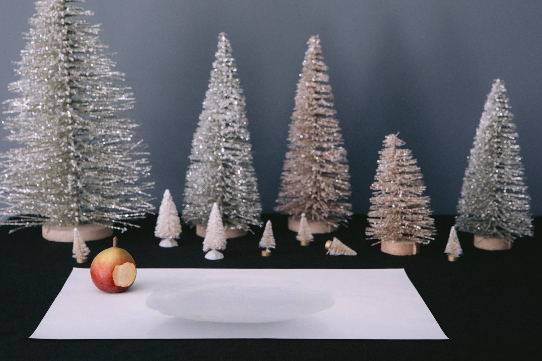 SOOLIP - Wholesale Disposable Placemat - Paper Placemat...Mini - Snow Ball1