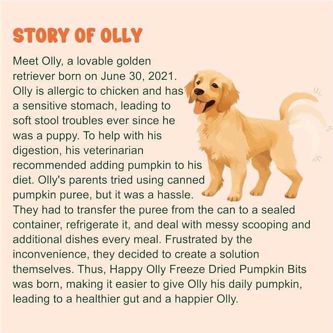 Happy Olly - Wholesale Pet Treats - Dog - Happy Olly Freeze Dried Pumpkin- Single Ingredient Dog Treat5