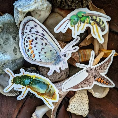 California Pollinator Pack for wholesale by LA Is Not A Desert