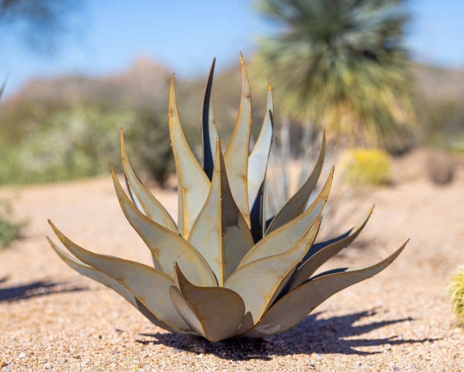 Desert Steel - Vente Plantes artificielles - Agave à peau de requin2
