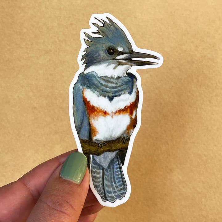 Kingfisher STICKER for wholesale by Amy Rose Moore Illustration
