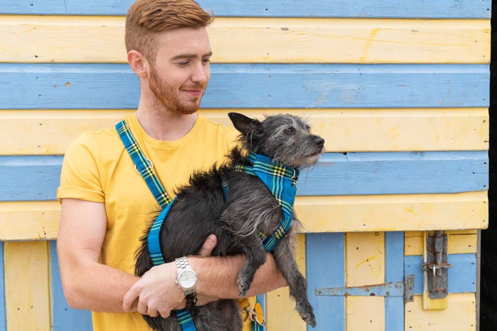 Hiro + Wolf - Wholesale Pet Bandana - Dog - Shuka Blue Dog Bandana3