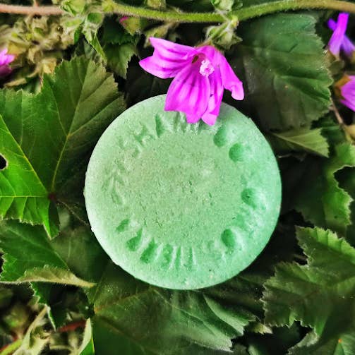 Shampoo +STYRKE for engroshandel hos Somos Tierra