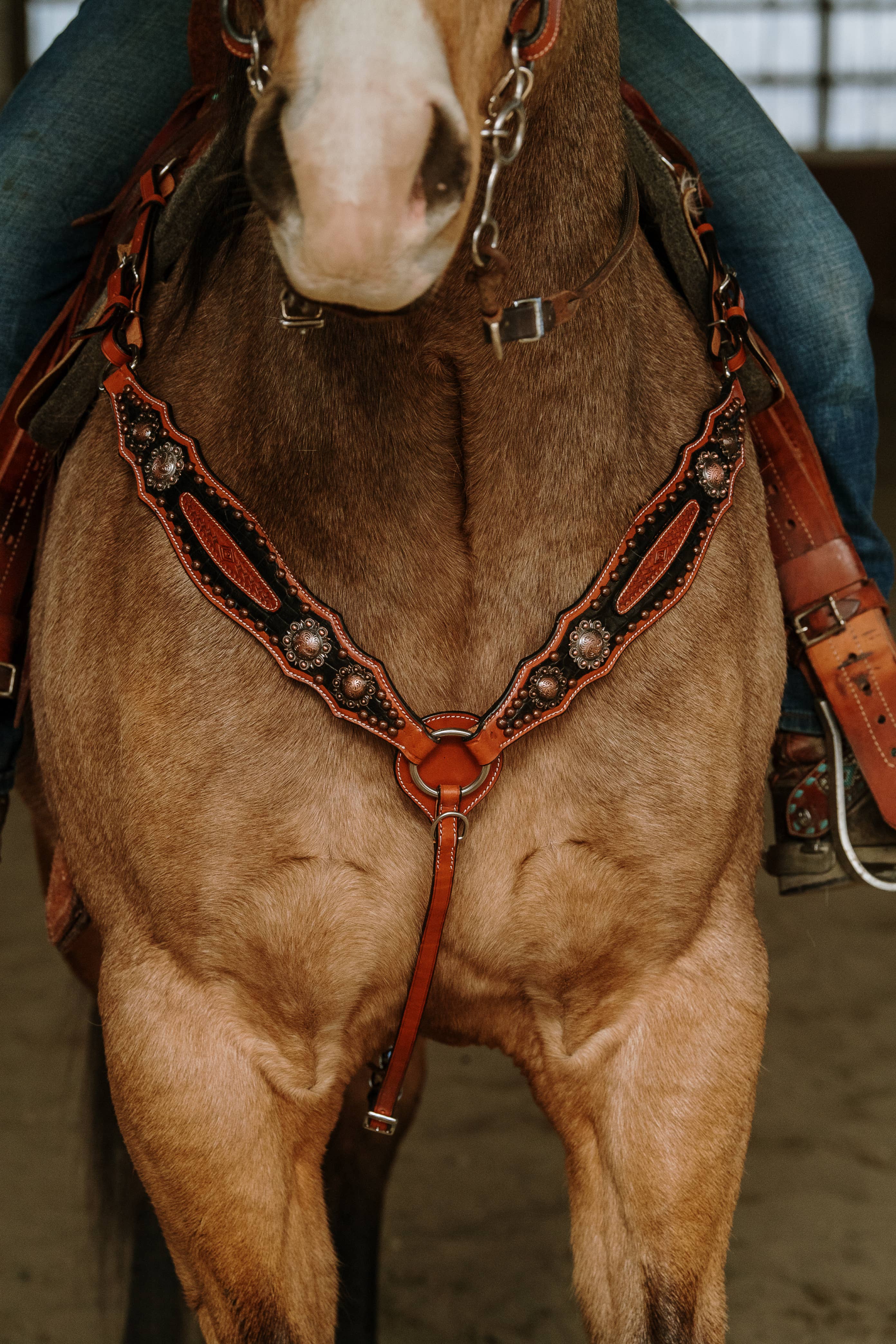 Schulz Equine - Vendita all'ingrosso Attrezzatura da equitazione - Set copricapo e colletto pettorale Jesse James3