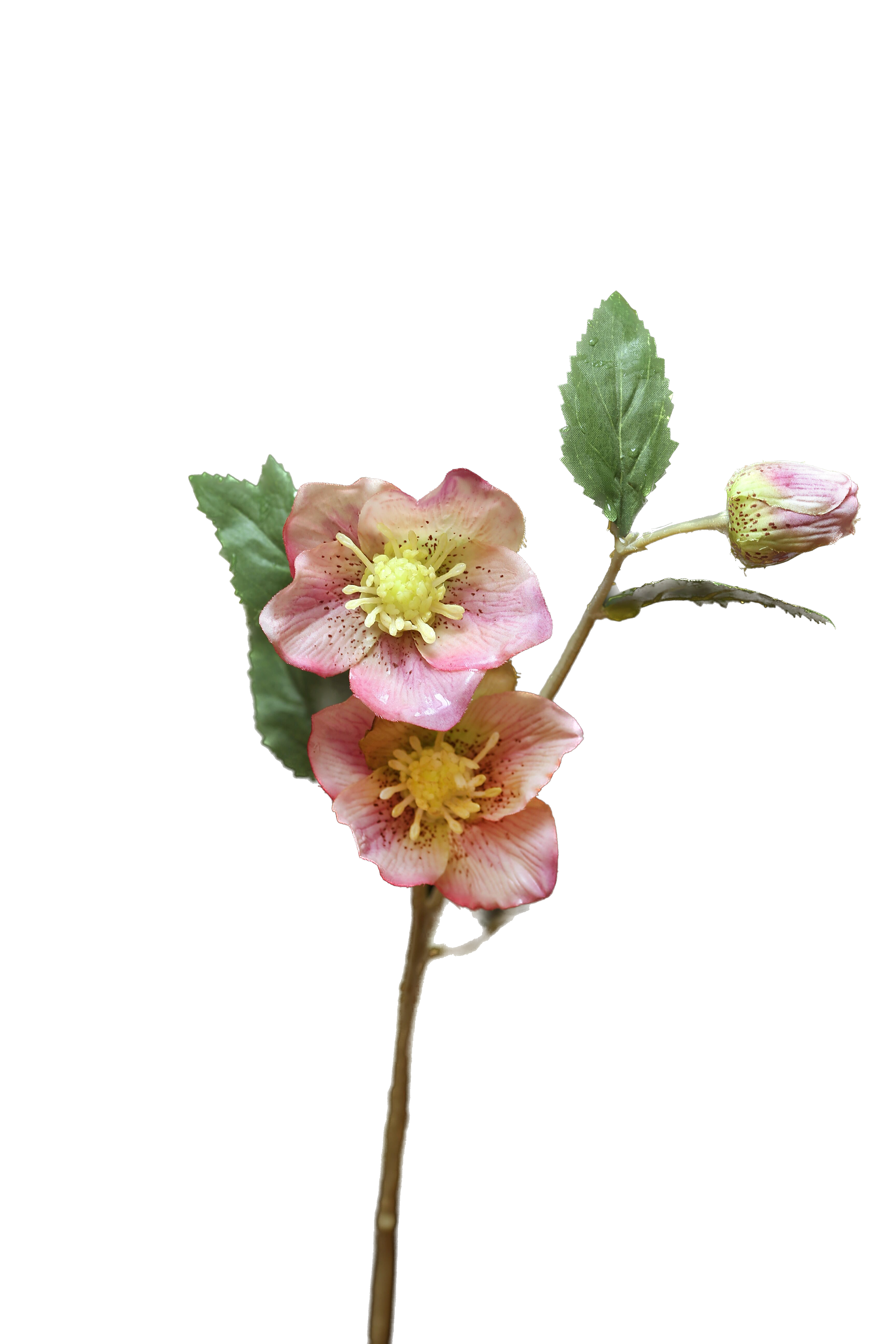 Mezu Silk Flowers - Wholesale Artificial Flowers - Artificial Pale Pink Hellebores2