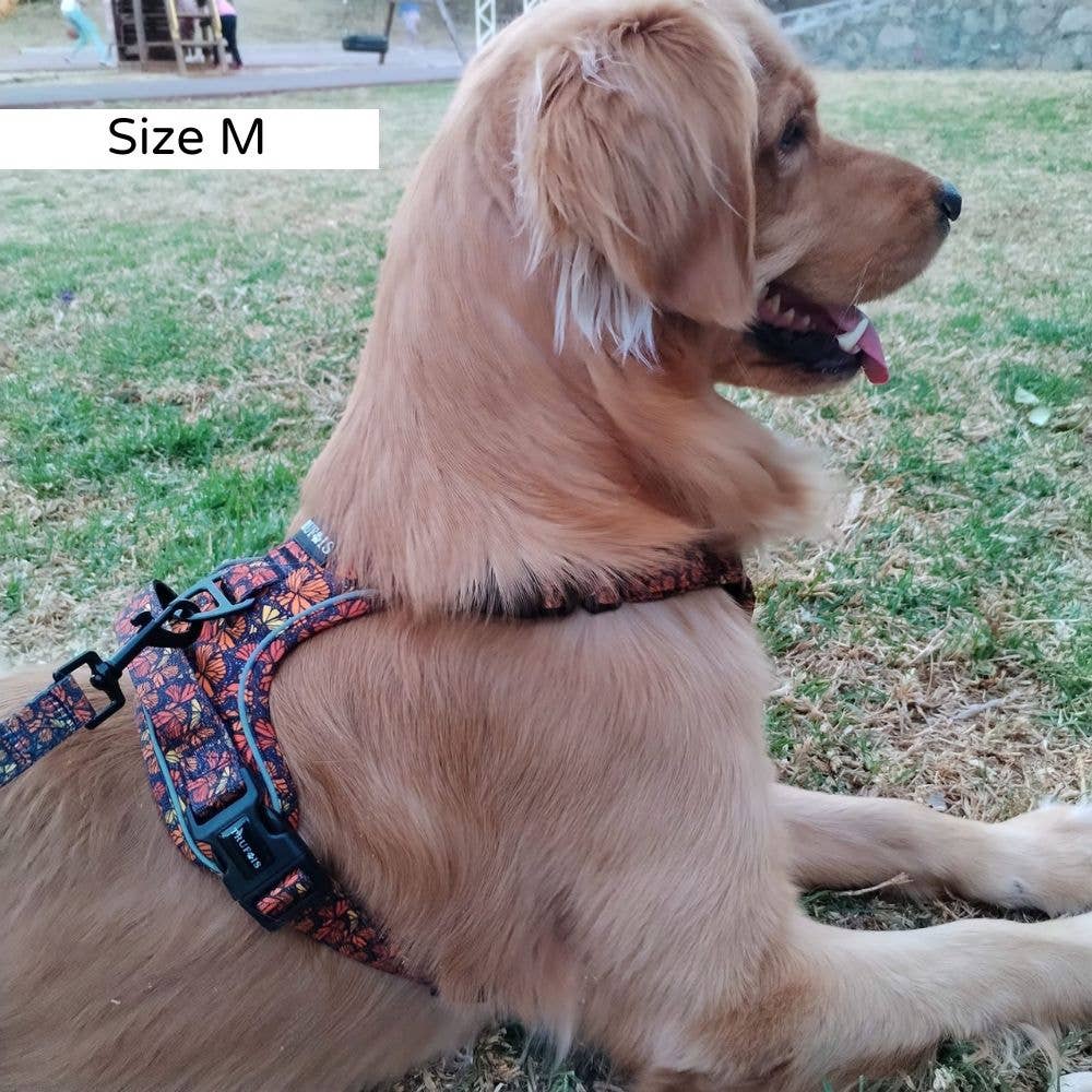 Trufois - Vente Harnais – chien - Harnais Sisu - Chute et Vol16