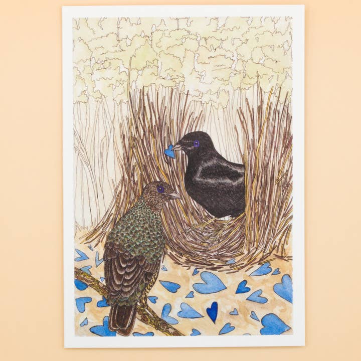 Sunshine Sea Art - Wholesale Anniversary Card - Satin Bowerbird Greeting Card Anniversary Wedding Bird Card