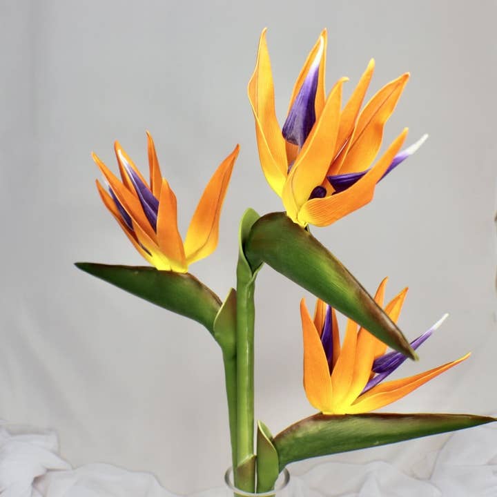 Bird of Paradise - Flores artificiales realistas para venta al por mayor de Realistic Artificial Flowers