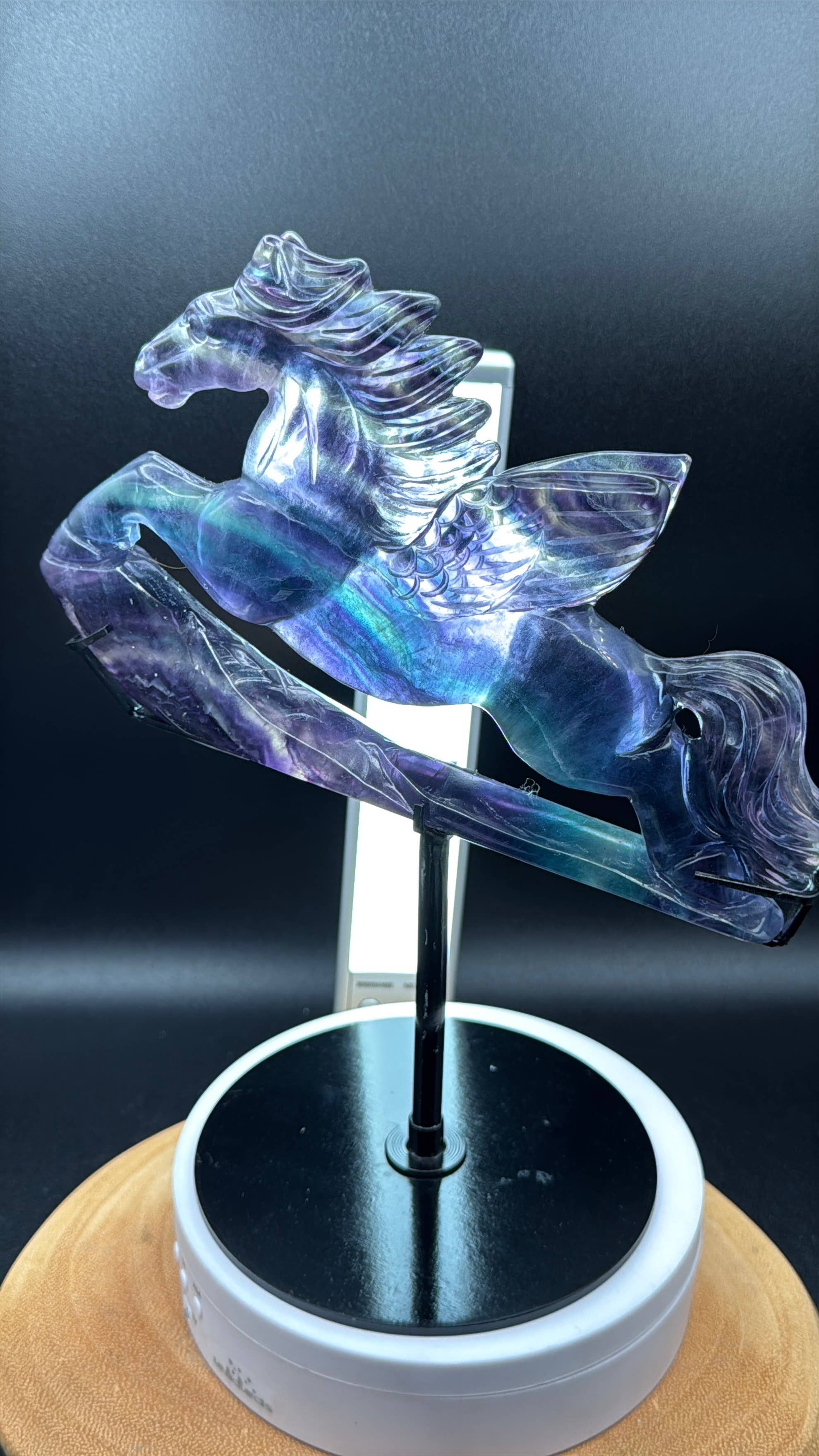 The 7 Directions - Wholesale Spiritual Stone/Crystal - Exquisite Rainbow fluorite Flying horse Pegasus H20812