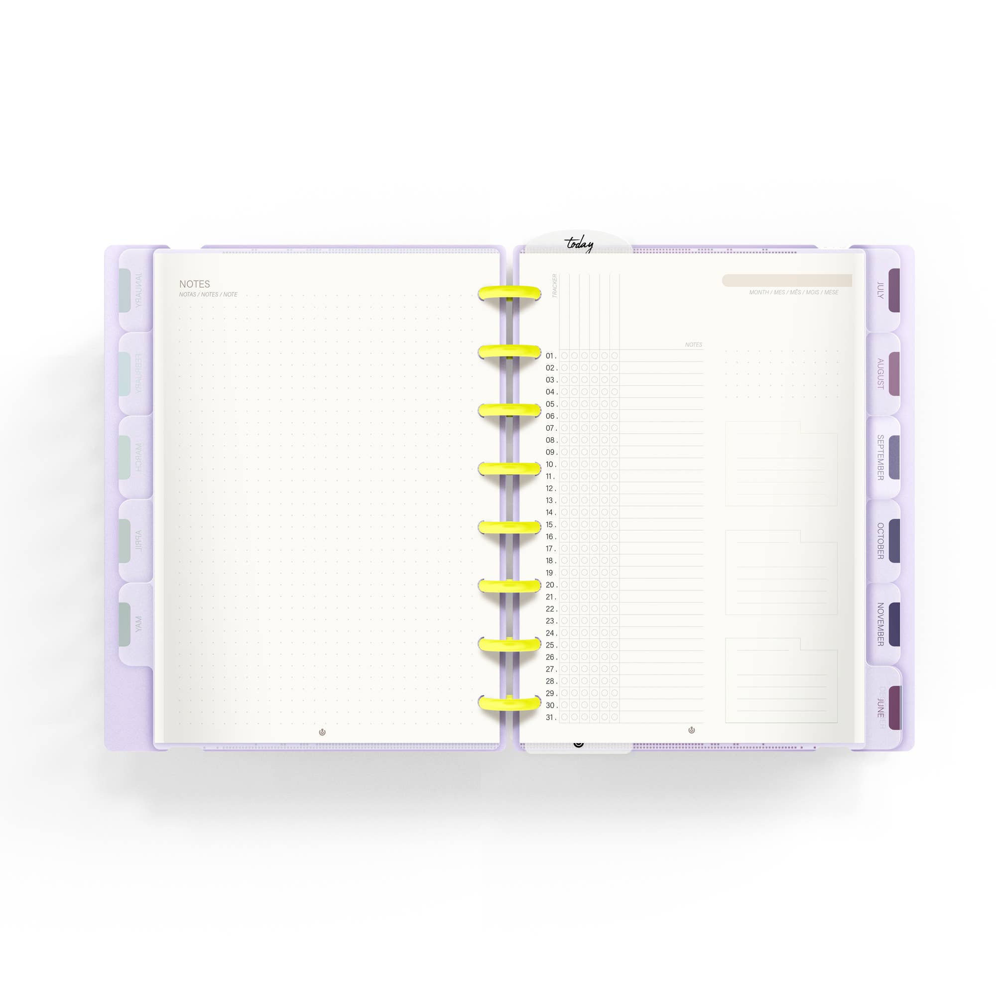 CARCHIVO - Wholesale Retailer Display - Paper & Novelty - CARCHIVO Ingeniox® Agenda Display |No date6