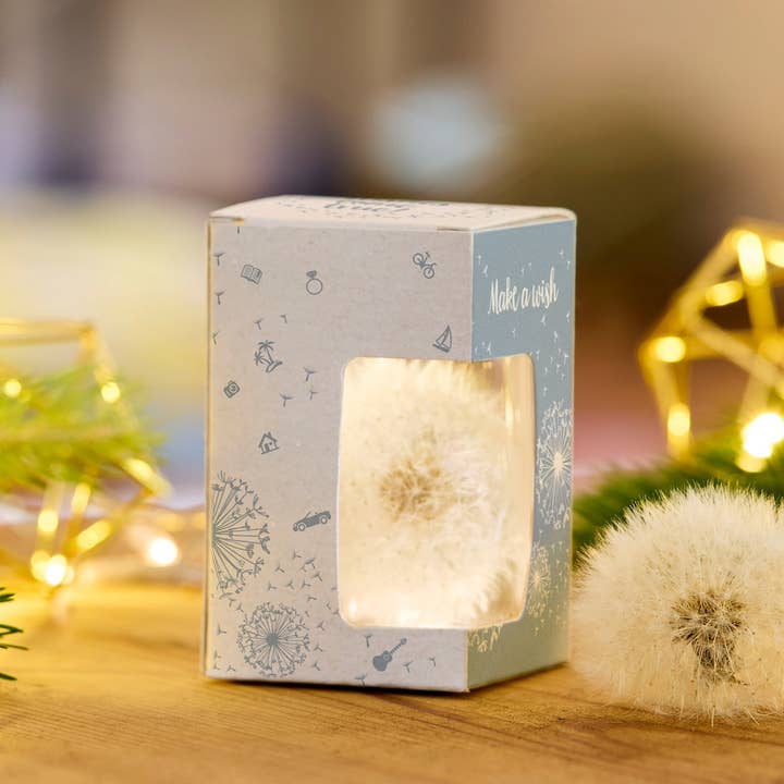 TDJ Stadtgärtner GmbH - Wholesale Party Favor - Wish fulfiller cash gift6