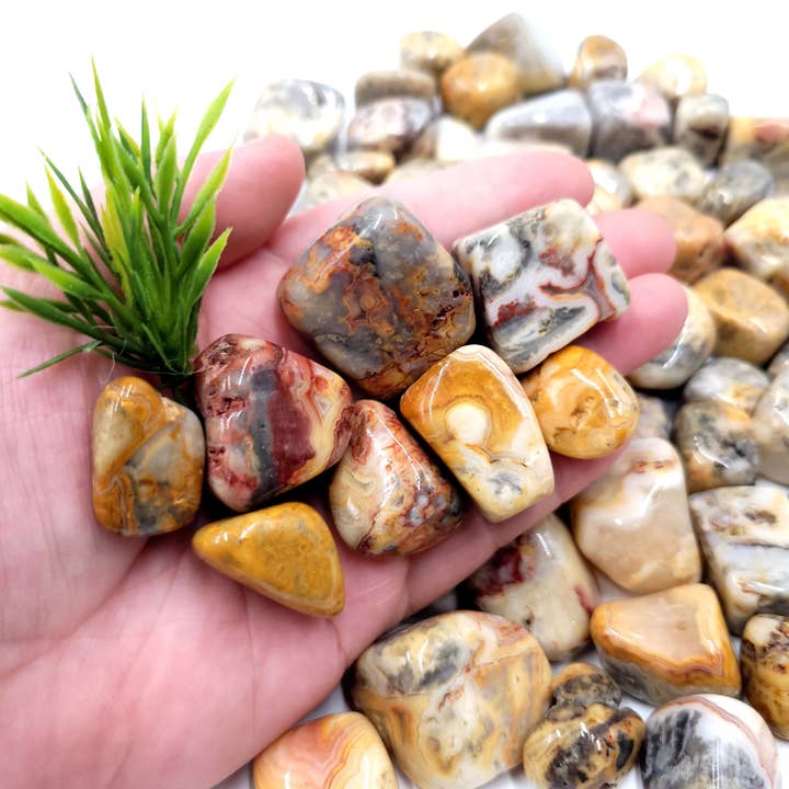 Crazy Lace Agate Tumbled Stones - 1 kg for wholesale by Funky Stuff