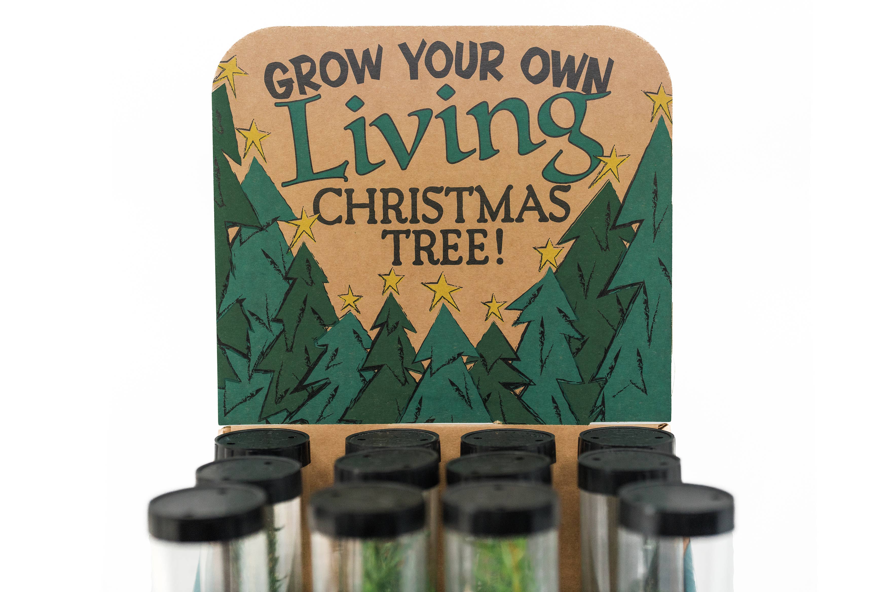 The Jonsteen Company - Wholesale Retailer Display - Home & Living - Christmas Tree Collection | 12 Live Trees w/ Display