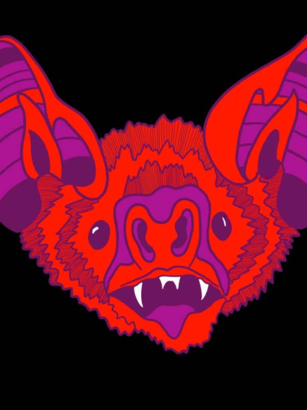 Battoo pour la vente par Courtney Licata Designs