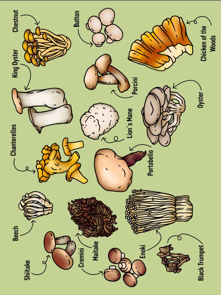 Mushrooms for wholesale by Cards by Dé