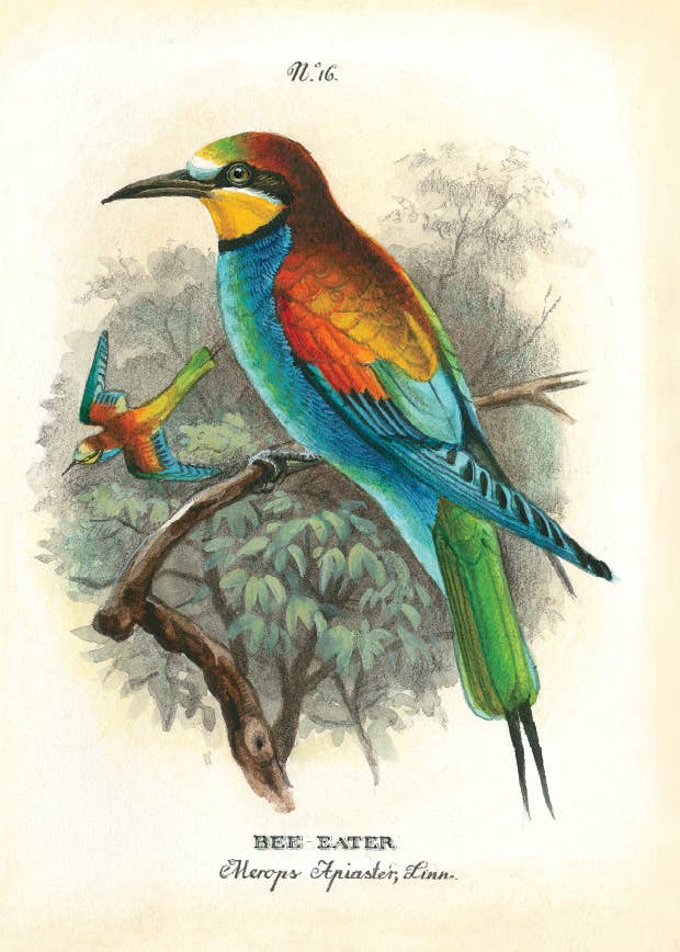 Bomo Art Budapest - Wholesale Everyday Greeting Card - Greeting Card + Envelope6