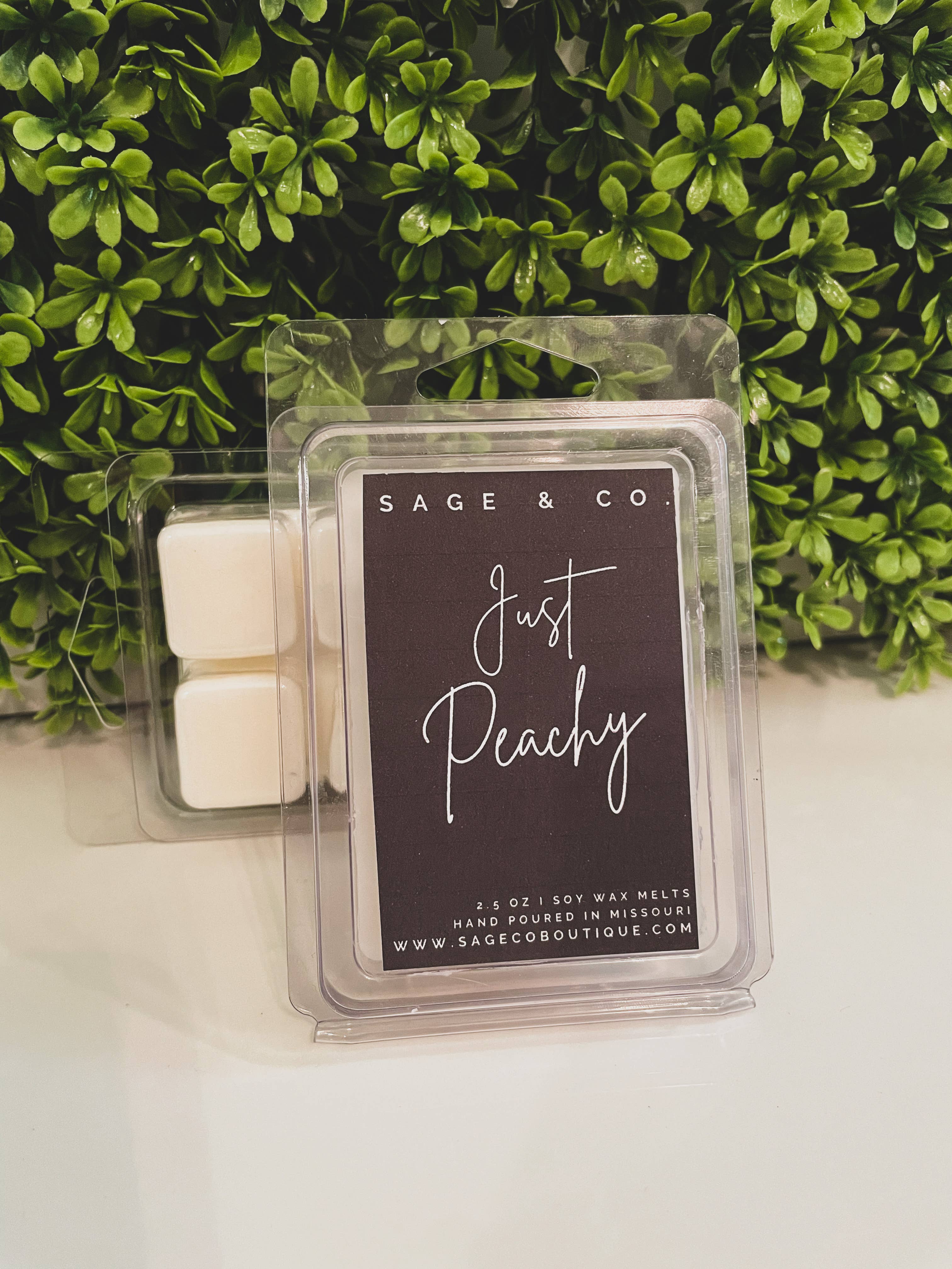 Sage & Co. - Vendita all'ingrosso Cialde di cera - Conchiglie Fall Scent Wax Melt1