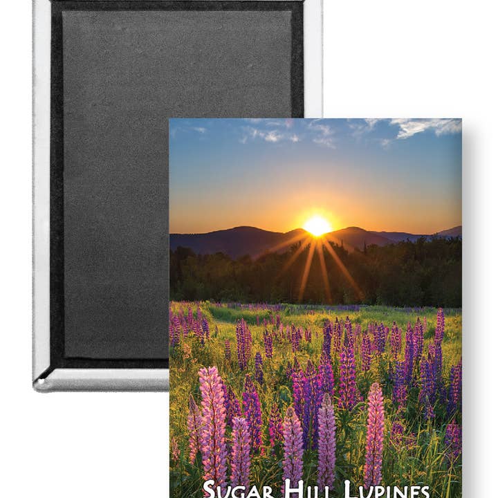7712 - Sugar Hill Lupine Sunrise Long Magnet for wholesale by White Mountain Images