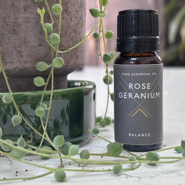 reste - Wholesale Essential oil - Rose geranium essential oil