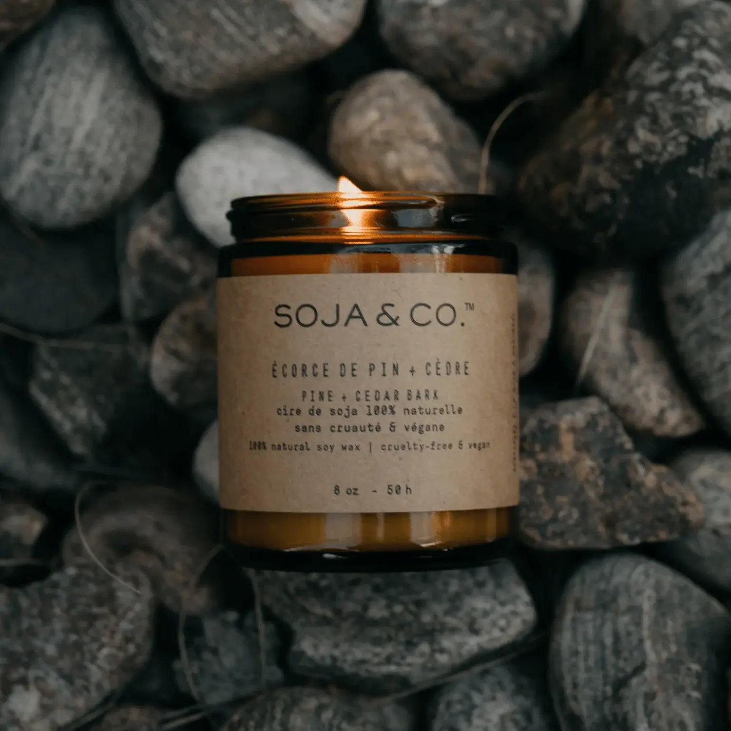 SOJA&CO.® - Wholesale Jar/Filled Candle - Soy Wax Candle | Pine + Cedar Bark3