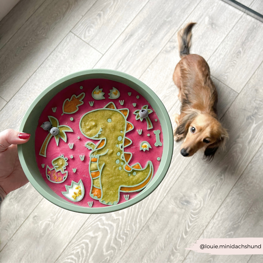 Cocopup London - Wholesale Pet Bowl - Cat/Dog - Silicone Slow Feed Dog Bowl - Dinopaws6