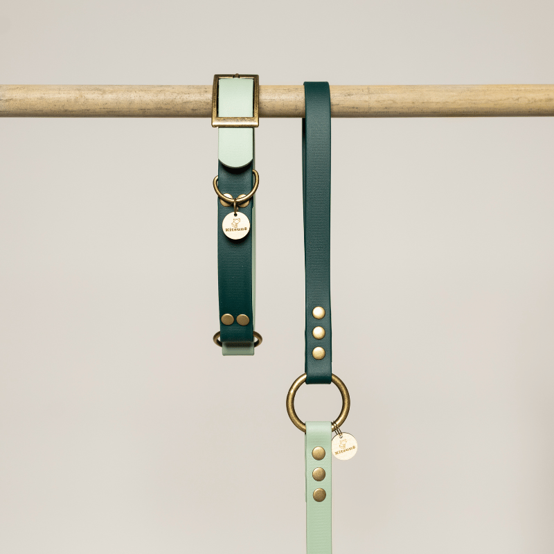 KITSUNE.DOG – Großhandel Leine – Hund – BIOTHANE-ZWEIFARBIGE LEINE SMARAGD UND WASSERGRÜN1