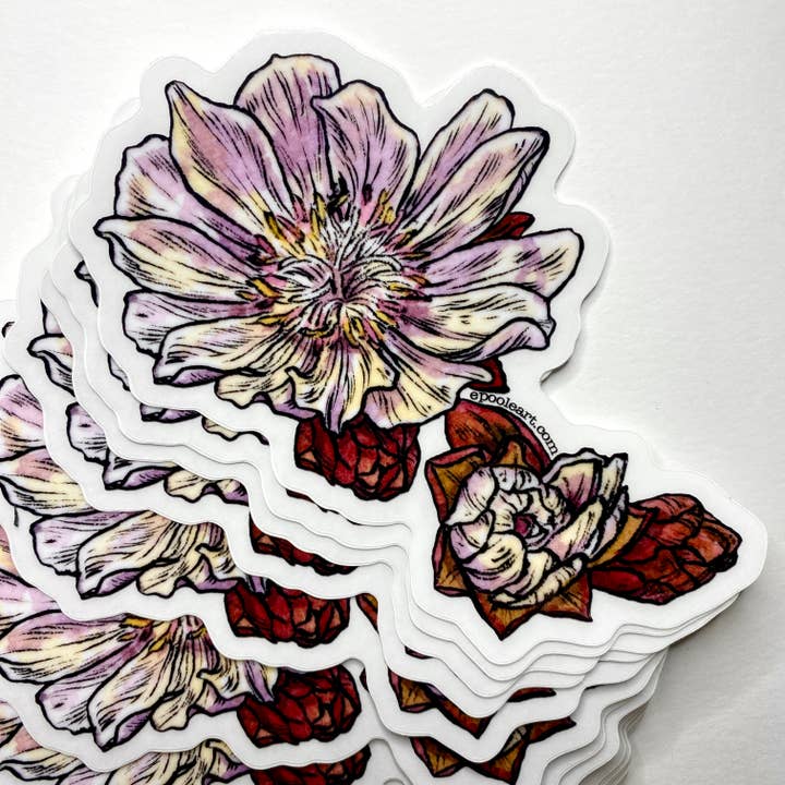 Bitterroot Flower Transparent Vinyl Sticker for wholesale by Emily Poole Illustration