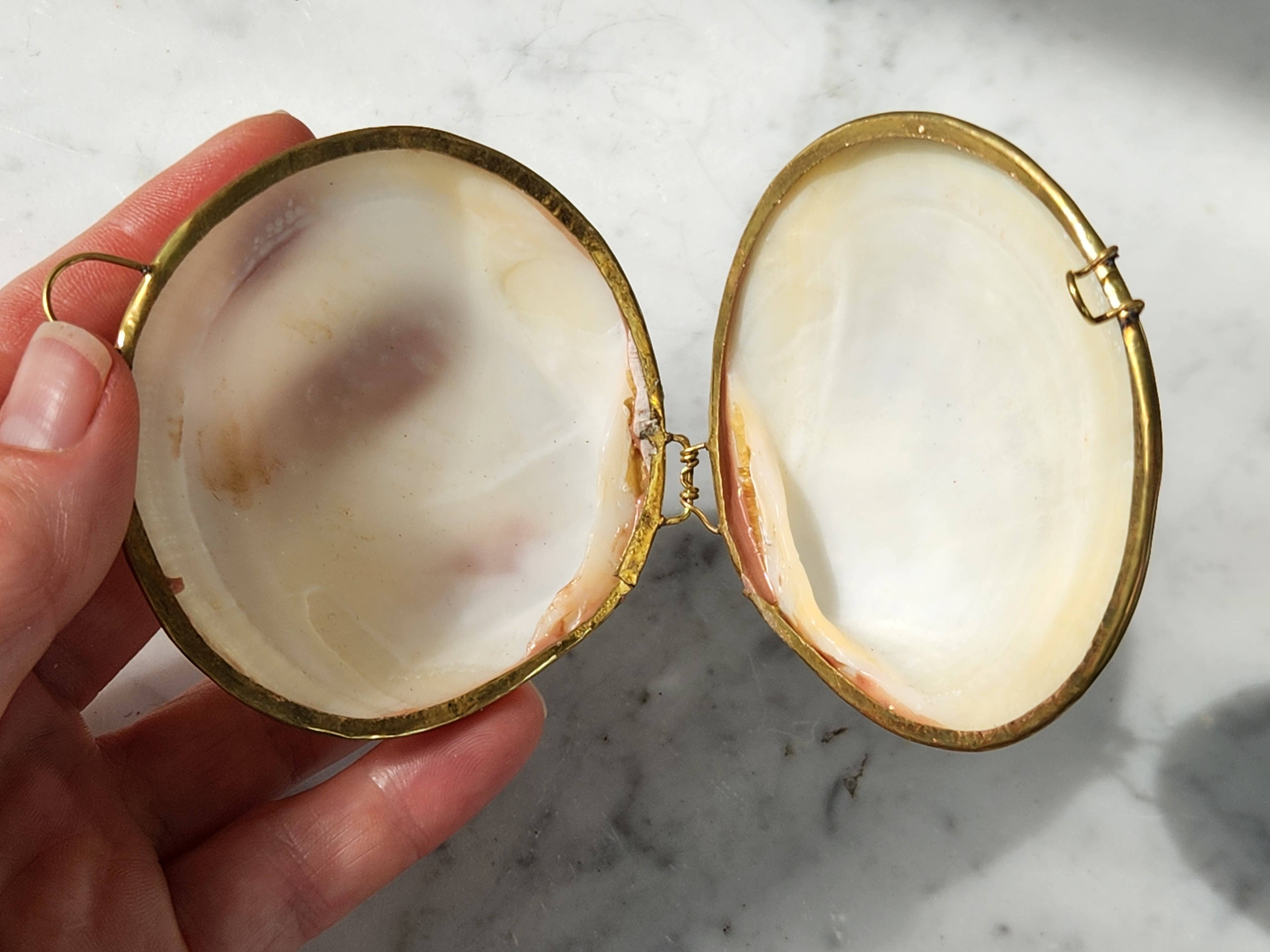 White Tulip Boutique - Wholesale Decorative Box - Mini Clam Trinket Pill Box, Coin Purse5