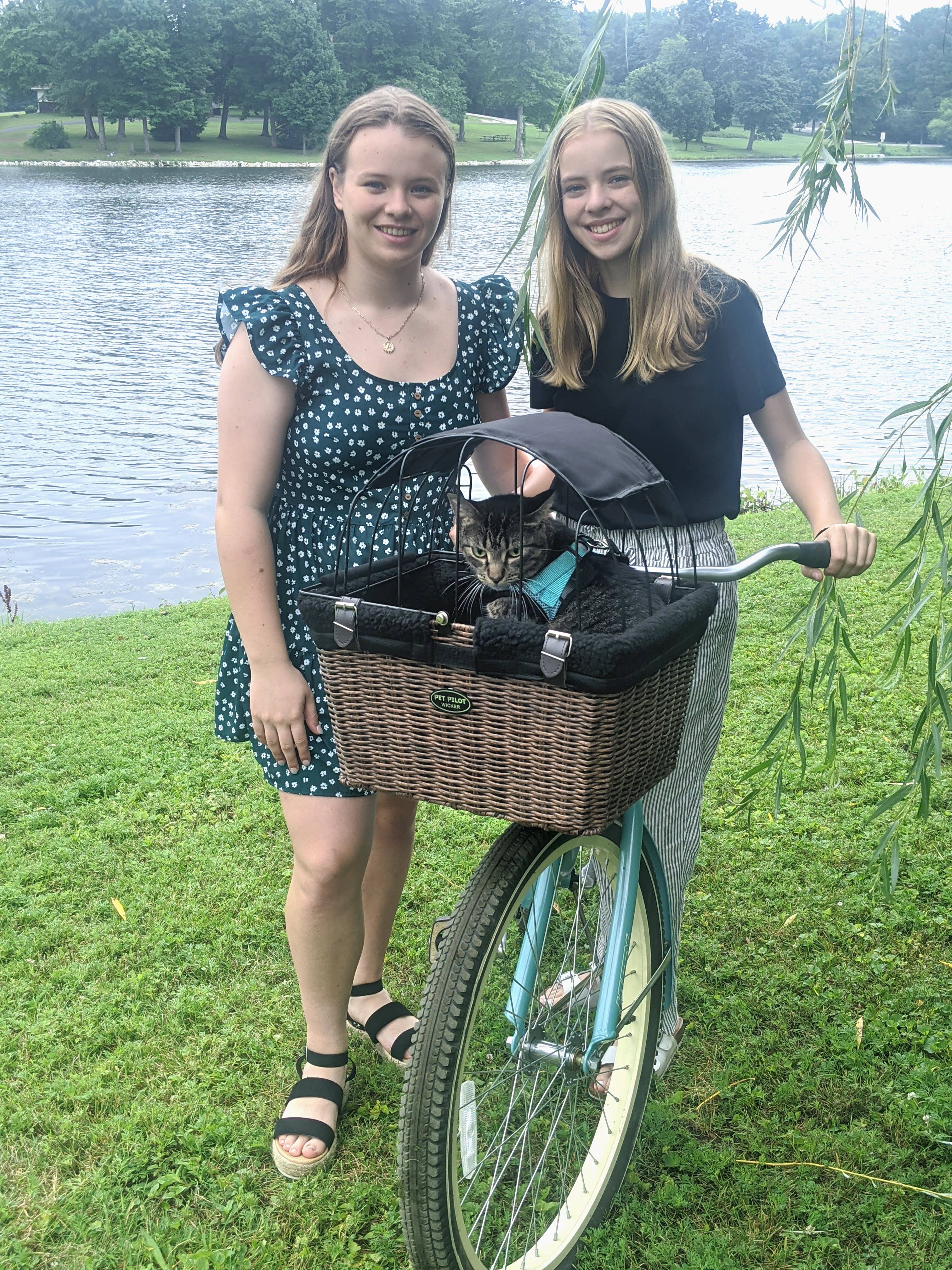 Travelin K9 – Engroshandel Kæledyrstransporttaske – Hund – Travelin K9 Hundekurv til cykel i flet med låg8