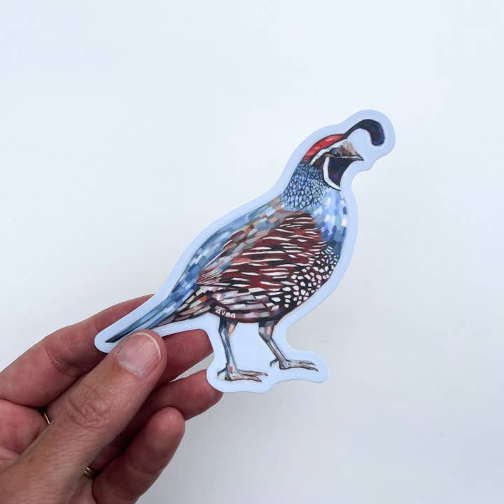 SheilaDunnArt - Wholesale Sticker - California Quail vinyl sticker