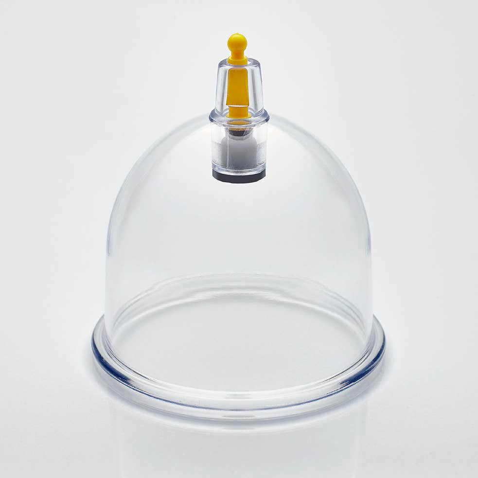 Nature’s Blends - Vente Verre/tasse - 500 ventouses de qualité supérieure - tailles mixtes de B1 à B62