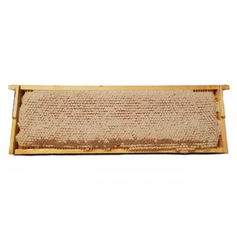 Pure Southern Honey - Wholesale Honey - Whole Wooden Honeycomb Frames (3)1