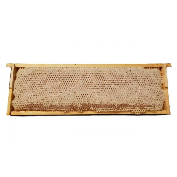 Pure Southern Honey - Wholesale Honey - Whole Wooden Honeycomb Frames (3)1