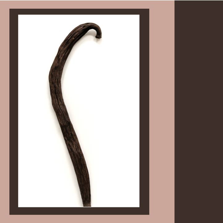Oranessence - Wholesale Vanilla/Fruit Extract - Vanilla Tsy Taitra from Costa Rica - Tube 1 pod