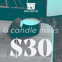 Sample Pack for wholesale by Dog House Candles